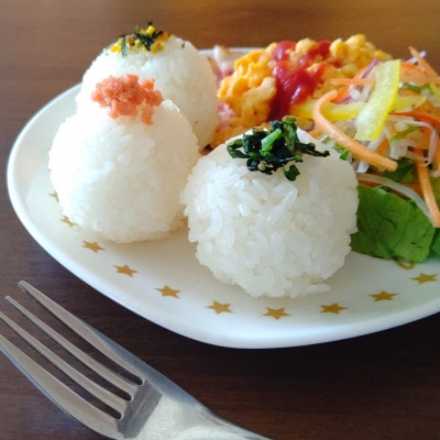 令和6年産【無洗米】さがびより2kg×4袋(真空パック)