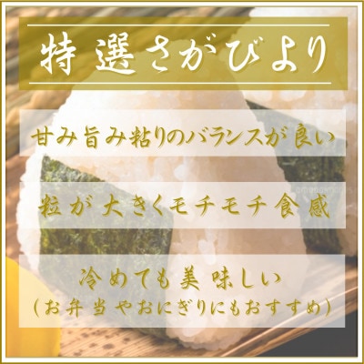 令和7年産【無洗米】食べ比べ(さがびより2kg、夢しずく2kg)五つ星お米マイスター厳選!