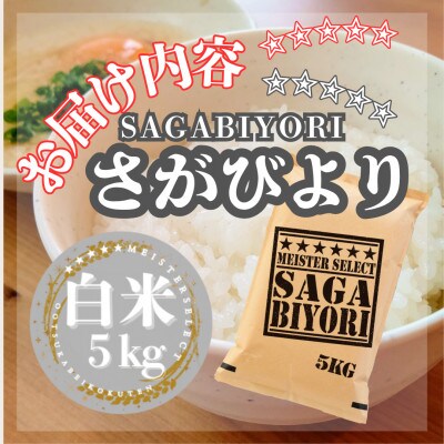 令和7年産さがびより白米5kg(五つ星お米マイスター厳選!)