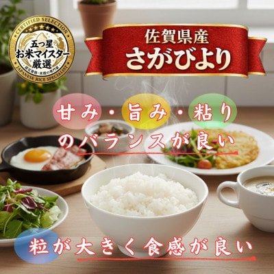 令和7年産さがびより白米10kg【5kg×2袋】五つ星お米マイスター厳選!