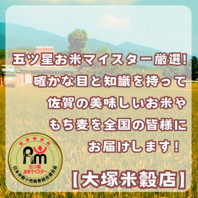 さがびより白米10kg【5kg×2袋】五つ星お米マイスター厳選!