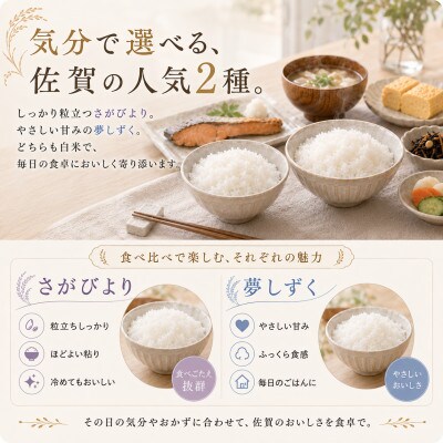 令和7年産 さがびより5kg、夢しずく5kg【白米 計10kg】(五つ星お米マイスター厳選!)