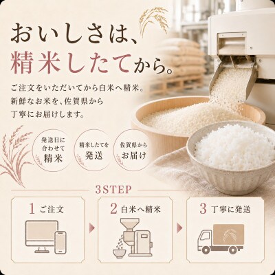 令和7年産 さがびより5kg、夢しずく5kg【白米 計10kg】(五つ星お米マイスター厳選!)