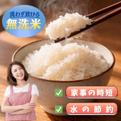 令和7年産【無洗米】ひのひかり5kg(江北町)