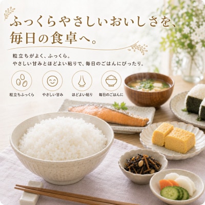 令和7年産【無洗米】ひのひかり5kg(江北町)