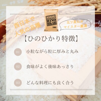 令和6年産【無洗米】ひのひかり10kg(5kg×2袋)(江北町)