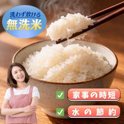 令和7年産【無洗米】ひのひかり10kg(5kg×2袋)(江北町)