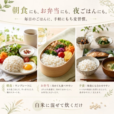 佐賀県産もち麦 キラリモチ 900g(300g×3袋)白米になじむ白いもち麦 五つ星お米マイスター厳