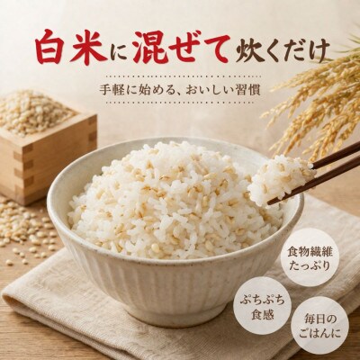 【もち麦】キラリモチ300g×5袋(佐賀県産)(江北町)