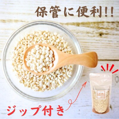 【もち麦】キラリモチ300g×5袋(佐賀県産)(江北町)