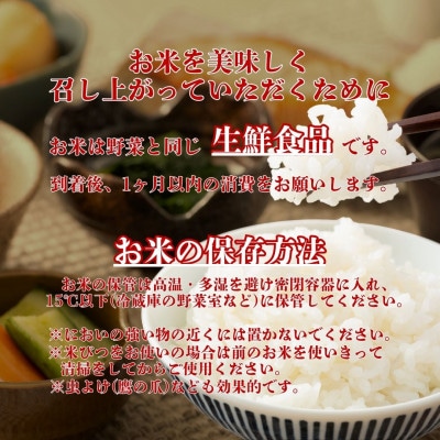 令和7年産【無洗米】さがびより20kg【5kg×4袋】五つ星お米マイスター厳選!(江北町)