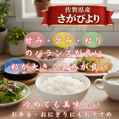 令和7年産さがびより10kg、夢しずく10kg【白米 計20kg】お米マイスター厳選!(江北町)