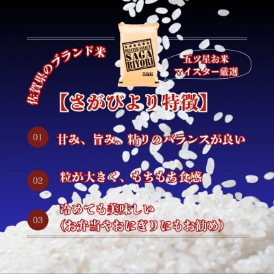 令和7年産【無洗米】食べ比べ(さがびより10kg、夢しずく10kg)【計20kg】(江北町)