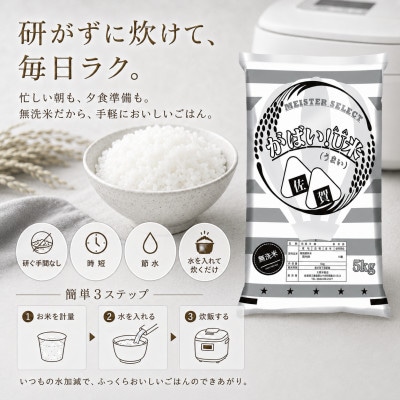 がばいU米(うまい)無洗米 5kg(江北町)
