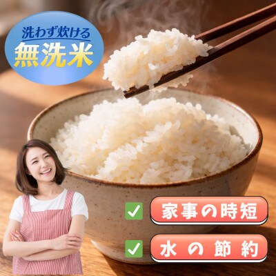 がばいU米(うまい)無洗米 10kg(5kg×2袋)(江北町)