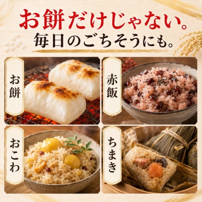 【もち米 精米 6kg】  佐賀県産 ヒヨクモチ (3kg×2袋) (江北町)