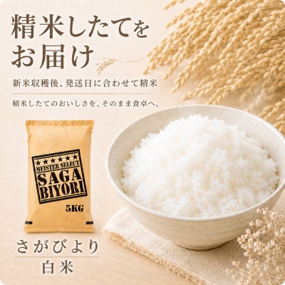 【新米】令和8年産 さがびより白米5kg【先行受付】(江北町)