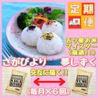 【毎月定期便】『さがびより』と『夢しずく』白米5kg食べ比べ!(江北町)全6回