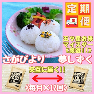 【毎月定期便】『さがびより』と『夢しずく』白米5kg食べ比べ!(江北町)全12回