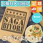 【毎月定期便】特A評価!【無洗米】『さがびより』5kg(江北町)全12回