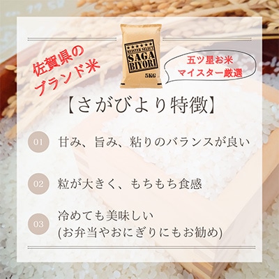 【毎月定期便】特A評価!【無洗米】『さがびより』5kg(江北町)全12回