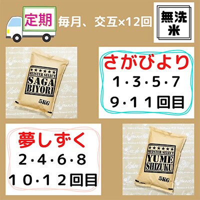 【毎月定期便】【無洗米】『さがびより』と『夢しずく』5kg食べ比べ!(江北町)全12回