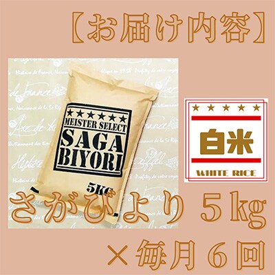 【毎月定期便】特A評価!『さがびより』白米5kg(江北町)全6回