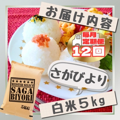 【毎月定期便】さがびより白米5kg(江北町)全12回