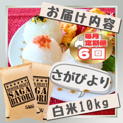 【毎月定期便】さがびより白米10kg【5kg×2袋】(江北町)全6回