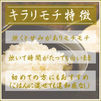 【毎月定期便】【もち麦】キラリモチ2kg(1kg×2袋)佐賀県産(江北町)全12回