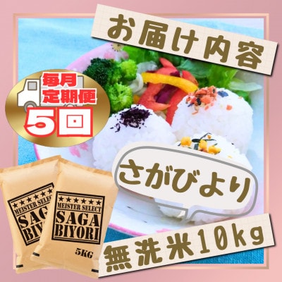 【毎月定期便】【無洗米】さがびより10kg【5kg×2袋】(江北町)全5回