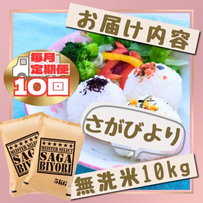 【毎月定期便】【無洗米】さがびより10kg【5kg×2袋】(江北町)全10回