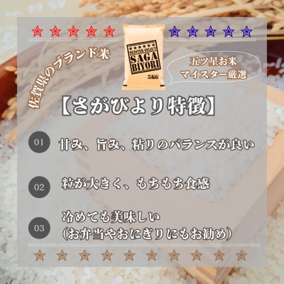 【毎月定期便】【無洗米】さがびより5kg(江北町)全6回