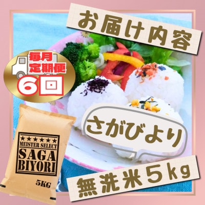 【毎月定期便】【無洗米】さがびより5kg(江北町)全6回