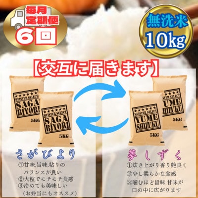 【毎月定期便】【無洗米】食べ比べ10kg(さがびより・夢しずく)(江北町)全6回