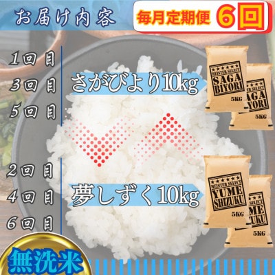 【毎月定期便】【無洗米】食べ比べ10kg(さがびより・夢しずく)(江北町)全6回