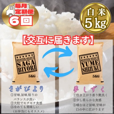 【毎月定期便】食べ比べ白米5kg(さがびより・夢しずく)(江北町)全6回