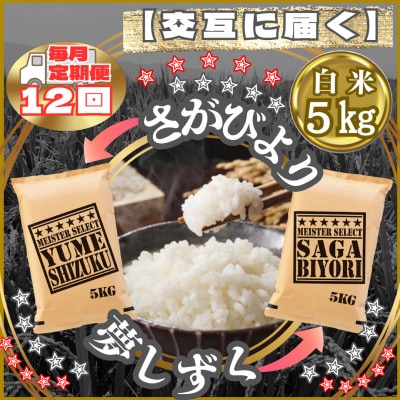 【毎月定期便】食べ比べ白米5kg(さがびより・夢しずく)(江北町)全12回