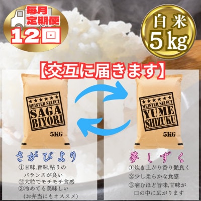 【毎月定期便】食べ比べ白米5kg(さがびより・夢しずく)(江北町)全12回