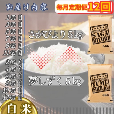 【毎月定期便】食べ比べ白米5kg(さがびより・夢しずく)(江北町)全12回