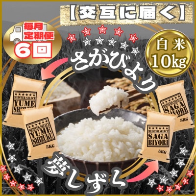 【毎月定期便】食べ比べ白米10kg(さがびより・夢しずく)(江北町)全6回
