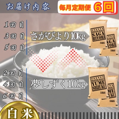 【毎月定期便】食べ比べ白米10kg(さがびより・夢しずく)(江北町)全6回