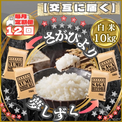 【毎月定期便】食べ比べ白米10kg(さがびより・夢しずく)(江北町)全12回