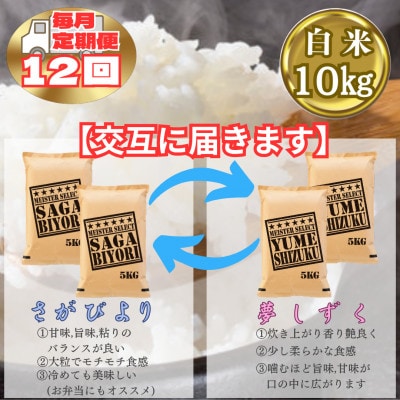 【毎月定期便】食べ比べ白米10kg(さがびより・夢しずく)(江北町)全12回