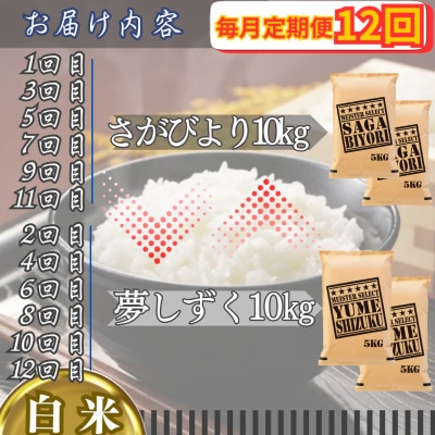 【毎月定期便】食べ比べ白米10kg(さがびより・夢しずく)(江北町)全12回