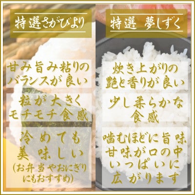 【毎月定期便】【無洗米】食べ比べ(さがびより・夢しずく)2kg×2袋(江北町)全12回