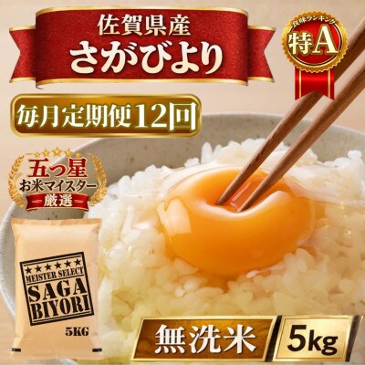 【毎月定期便】【無洗米】さがびより5kg(江北町)全12回