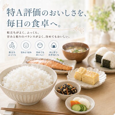 【毎月定期便】【無洗米】さがびより5kg(江北町)全10回