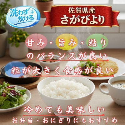 【毎月定期便】【無洗米】さがびより10kg【5kg×2袋】(江北町)全12回