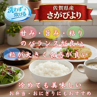 【毎月定期便】【無洗米】さがびより10kg【5kg×2袋】(江北町)全10回